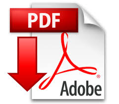 PDF